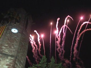 110910 actes diada 11_set_10