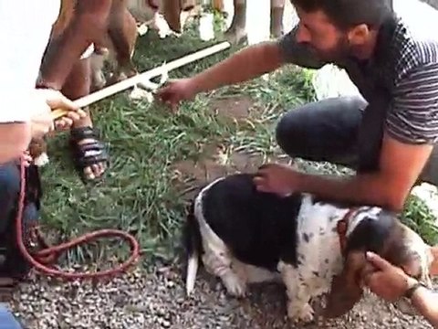 Journée du Coeur à Gueugnon 29 Août 2010 1ére partie