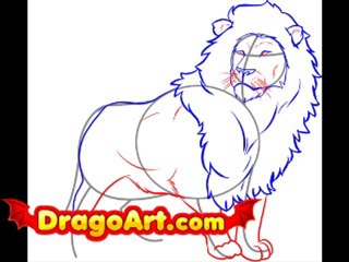 How to draw a lion, step by step