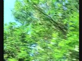 ECOLOGIA INTEGRAL - LEONARDO BOFF