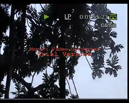 Village de GNAMBENI Badjini Comores (video 7)