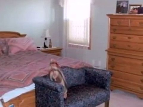 Homes for Sale - 299 N Mountin Dr - Mayville, WI 53050 - Col