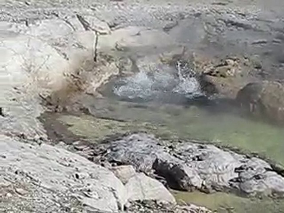 CRATER SPRING