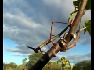 MUDANÇAS CLIMÁTICAS - VERSÃO 15 MINUTOS