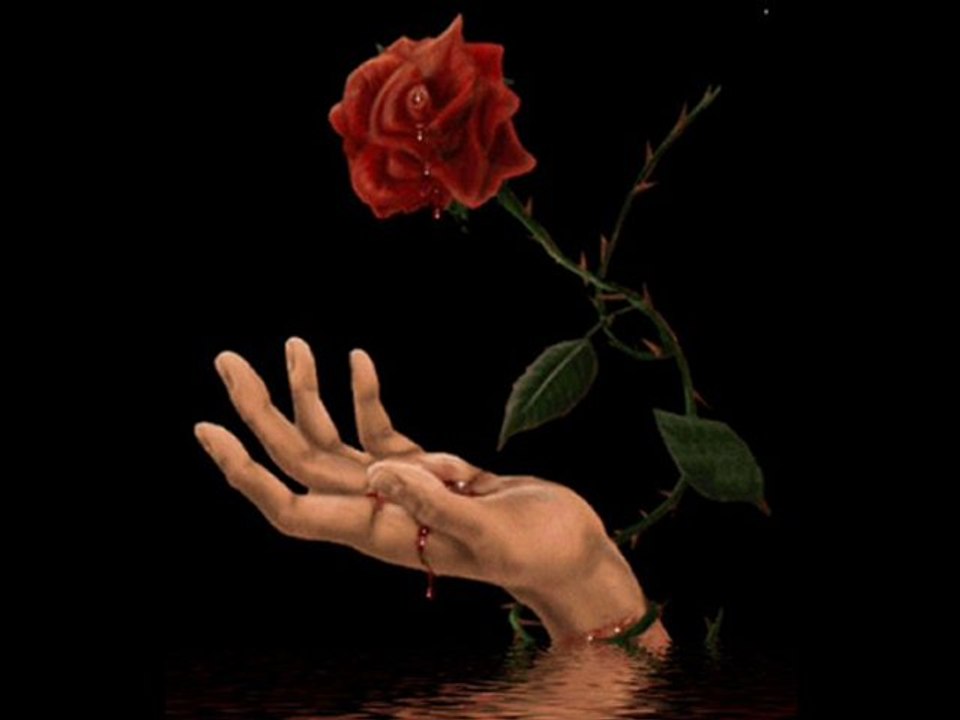 Mona Rosa - Sezai KARAKOÇ