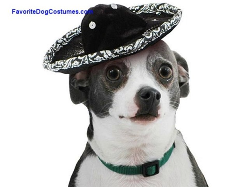 Unique Dog Halloween Costumes