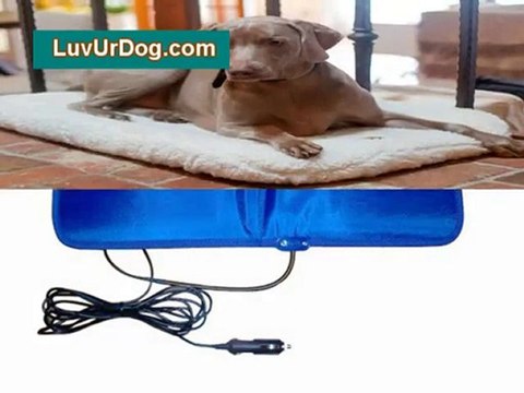 Heated Dog Beds To Keep your Best Friend Toasty Warm