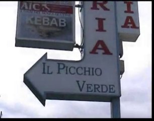 TRATTORIA - PIZZERIA - KEBAB -IL PICCHIO VERDE ACERRA (NA)