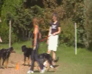 TEST DE CARACTERE DE FARAH ,FEARLESS ET FAÏKA