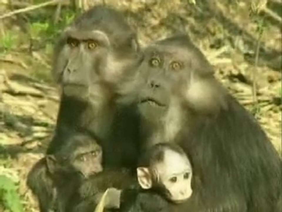 Faut-il payer des impots?