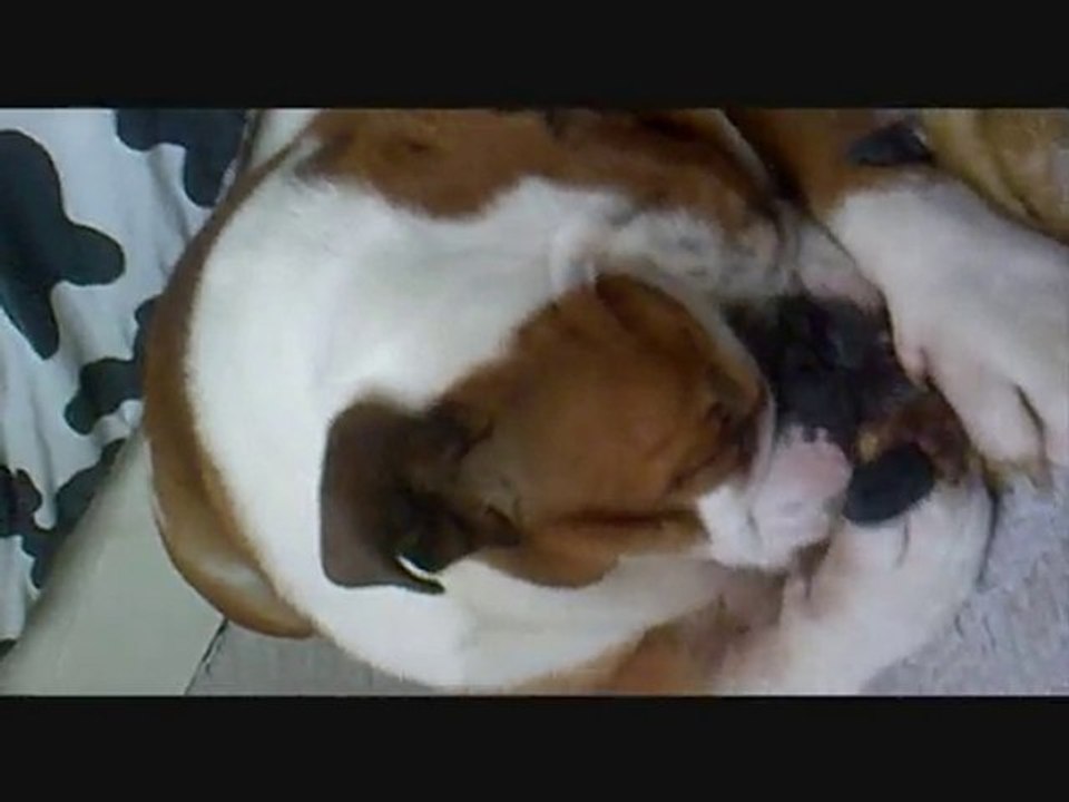 Lisa & son Doudou