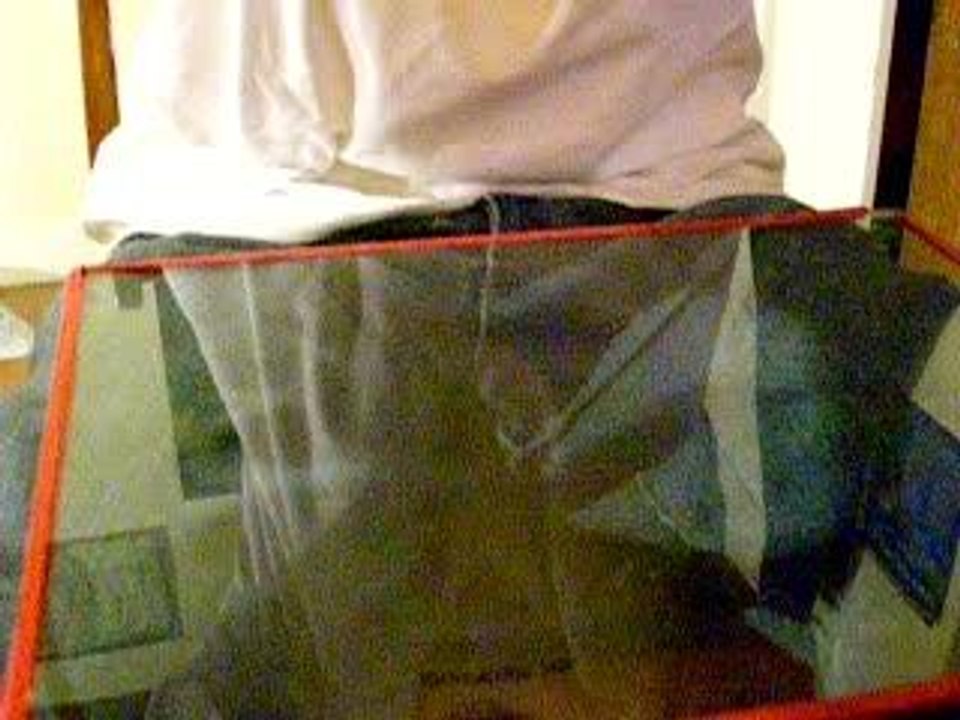 Piece à traver la vitre