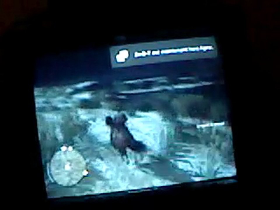 Arestoy Red dead redemption