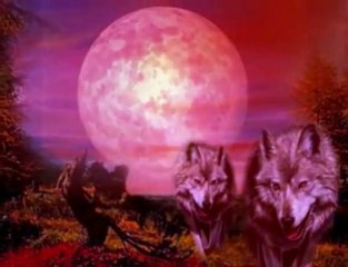 karunesh - morning glory