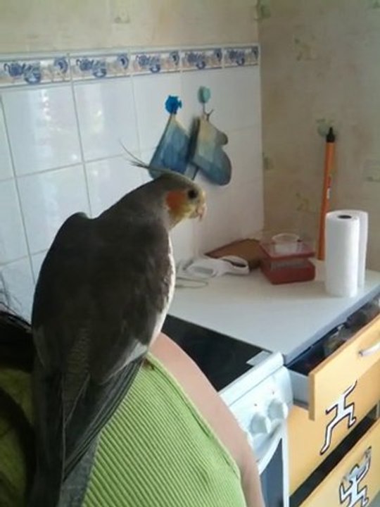 Attaque terroriste durant un concert