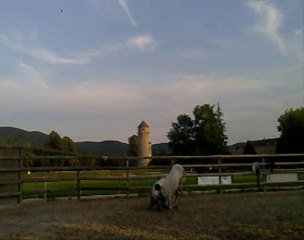 Quaracol, nos débuts