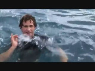 Muhteşem Dalgalar ve Sörf