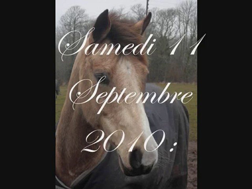 Nico :D♥ En Dressage