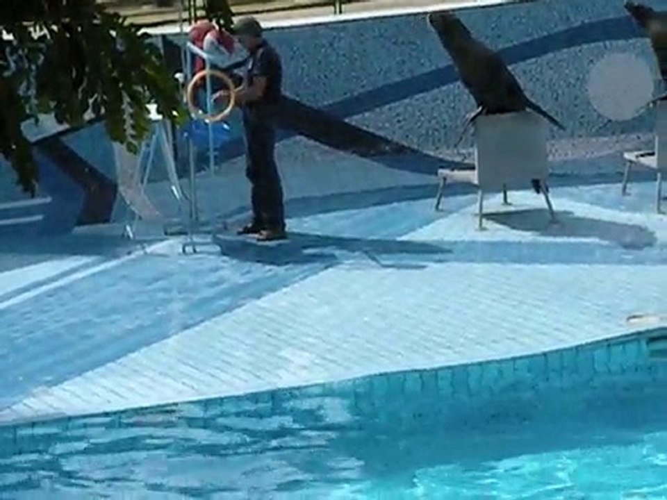 otaries 11.09.2010 2