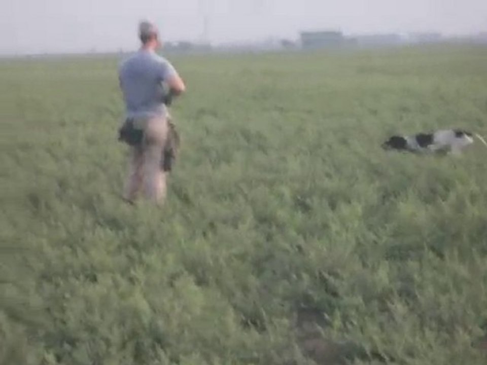 pointer ferma , bulut