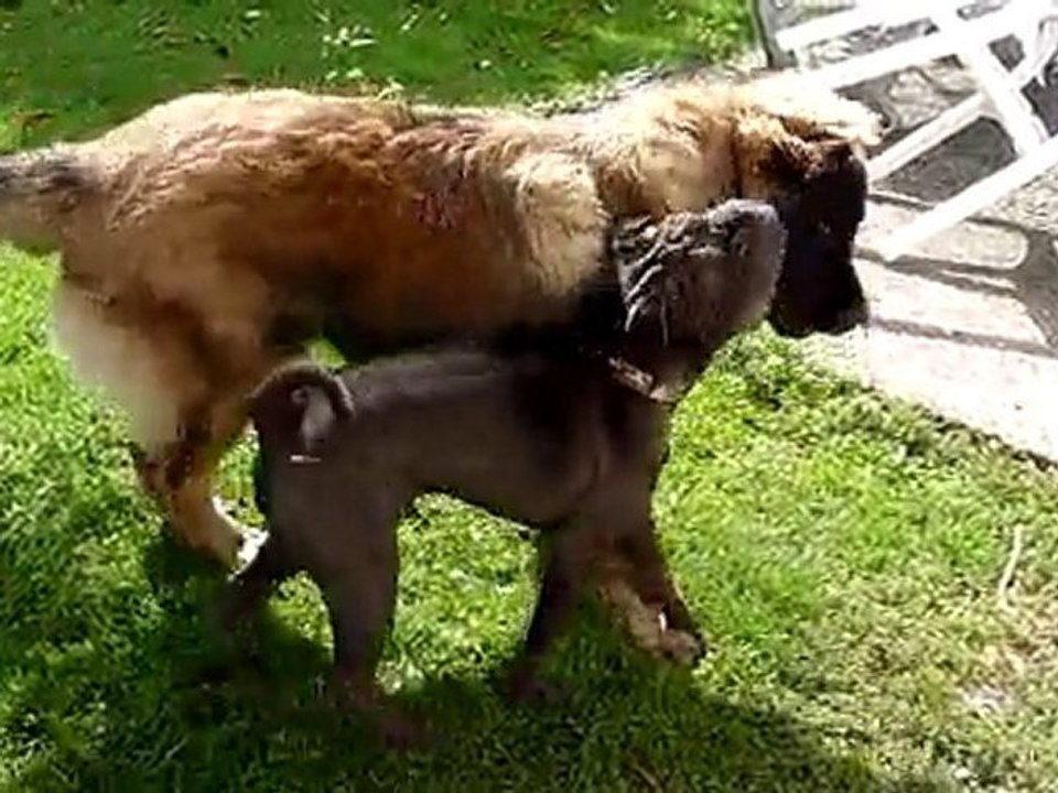 Floyd et Ero le 12.09.10....On s'amuse comme des fous.Youpi!