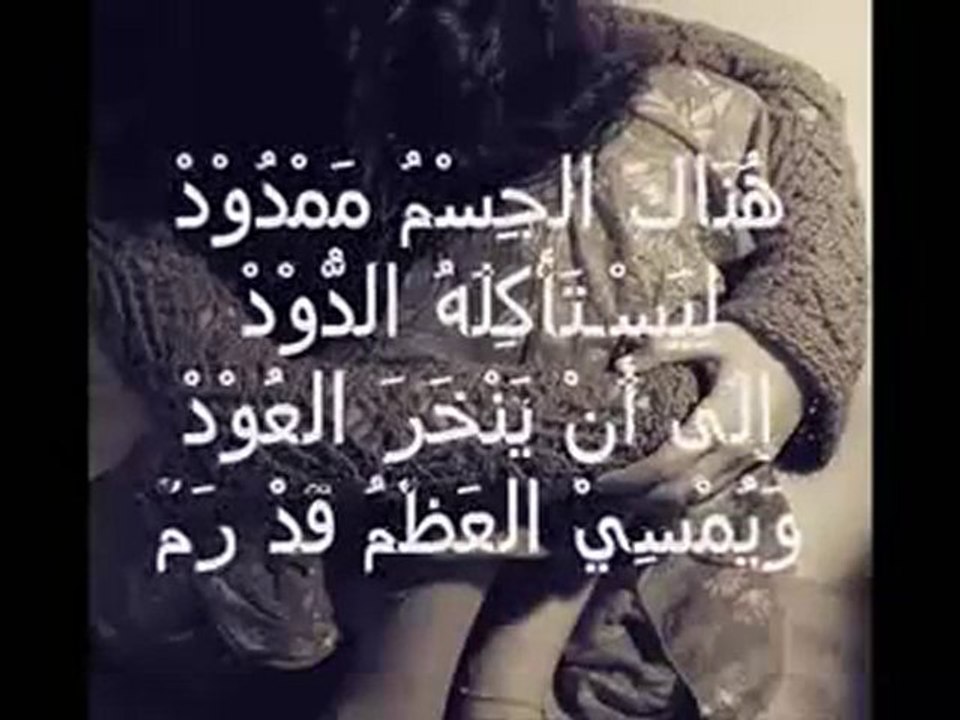 Sheikh AlAfasy أيا من يدعي الفهم   إنشاد الشيخ مشاري العفاسي