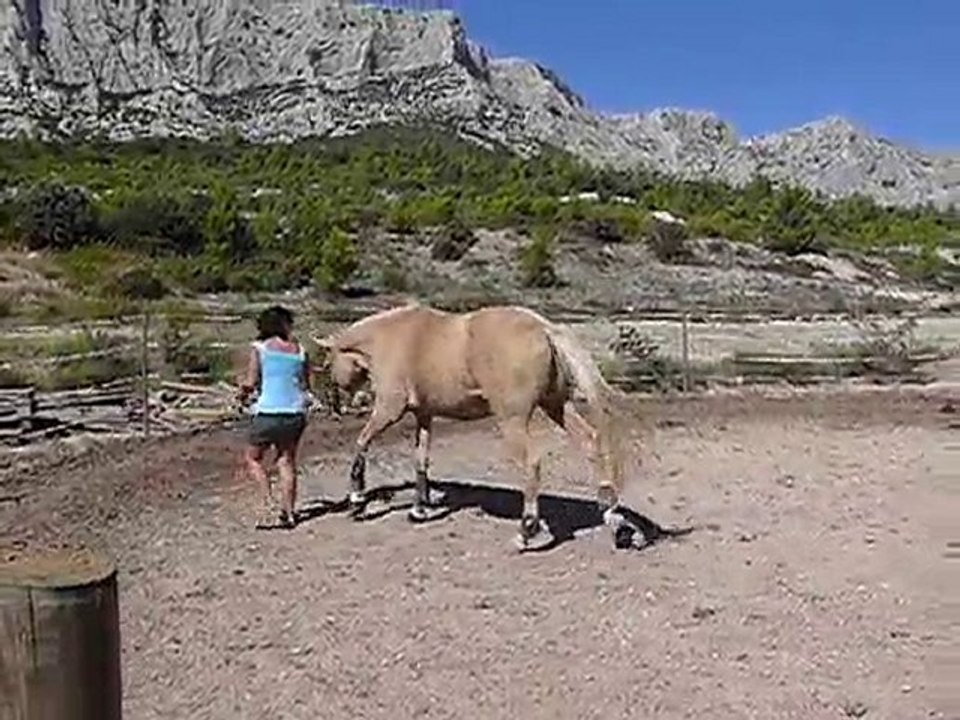 Junior Gold. liberté