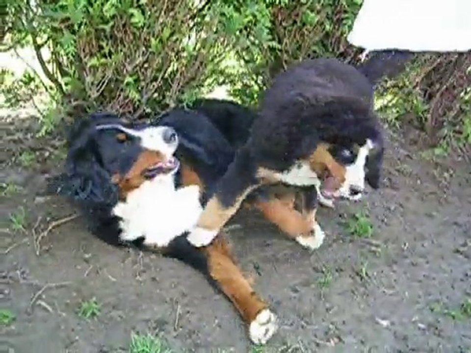 dimanche 12 septembre 2010 4