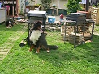 dimanche 12 septembre 2010 5