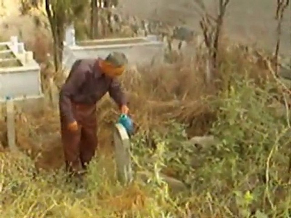 kabristan ziyareti ve bayramlaşama-2010-YILDIZ KÖYÜ