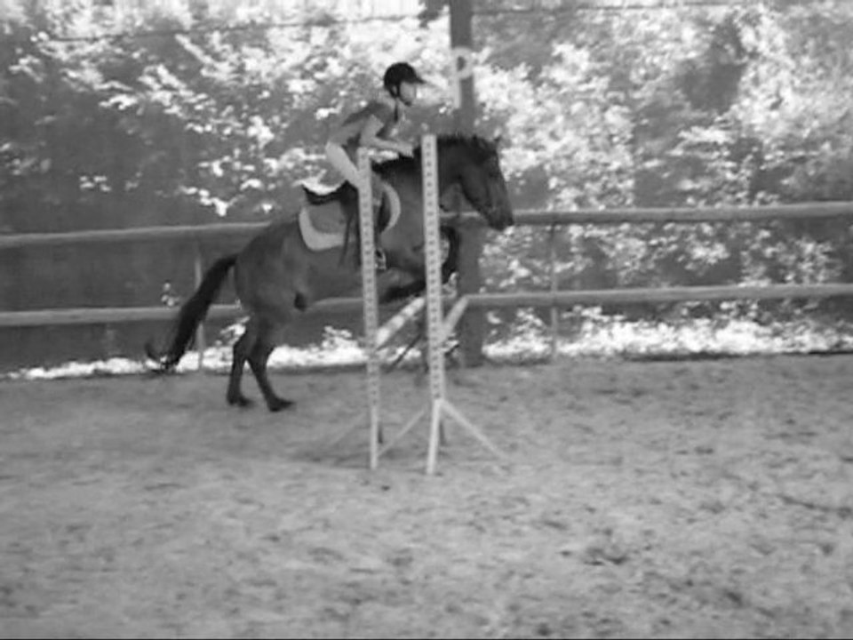 Karle_0001