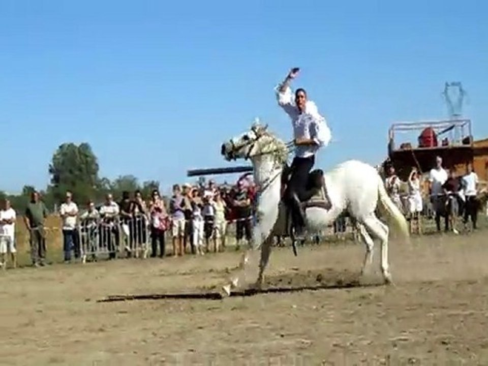 fete paysanne et traction animale villelaure 2010_2