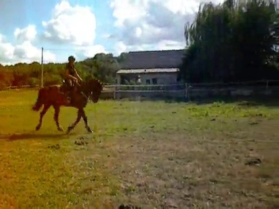 Qhani en saut & cross