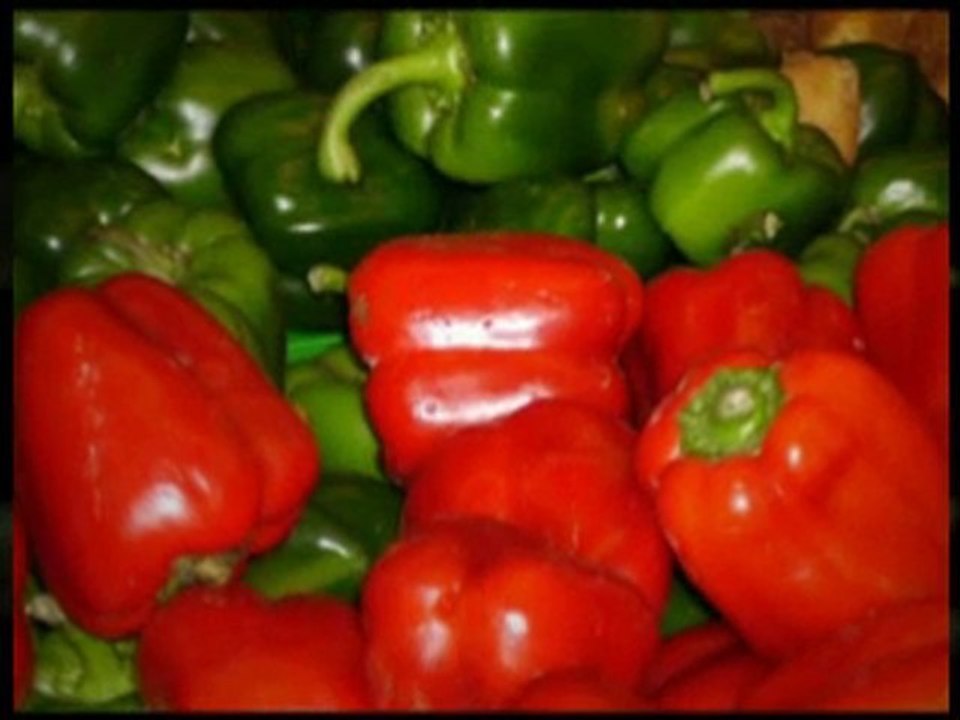 Start to Worm Composting: Making A Worm Bed