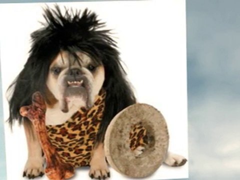 Dog Halloween Costumes