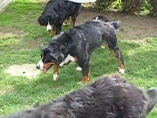 dimanche 12 septembre 2010 6