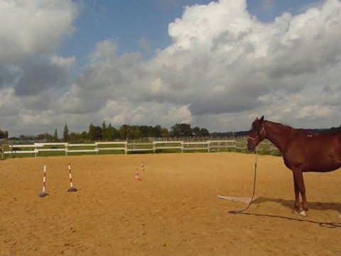 Séance à pied_ 12 septembre 2010 (Partie 1)