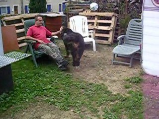 dimanche 12 septembre 2010 7