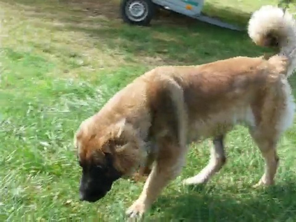 P1090943 ENKA 12 SEPT 2010