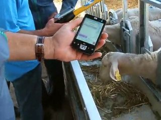 LECTUTR DES BOUCLES ELECTRONIQUES baton