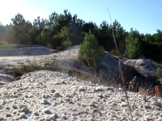 un petit saut