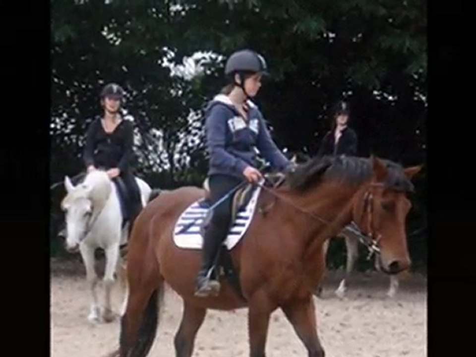 Kheops & moi en dressage .