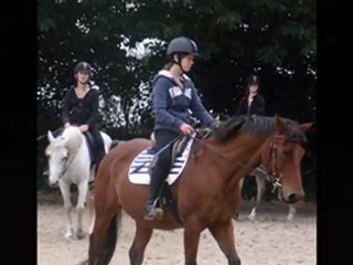 Kheops & moi en dressage .