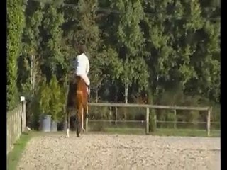 Roxana et moi - Plat - 12 Septembre 2010