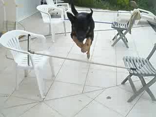 Loulou sur le Triple .