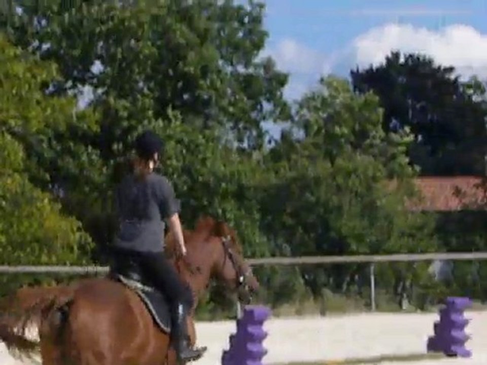 12/09/2010 - Fête du cheval