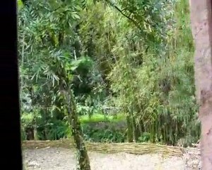 ILET BETHLEEM  ile de la reunion