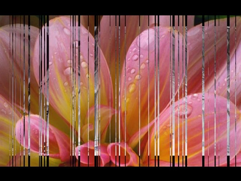 candan erçetin gel yeter