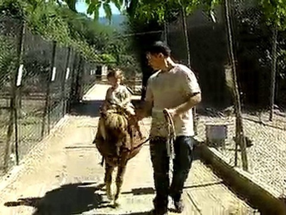 Baptême à poney