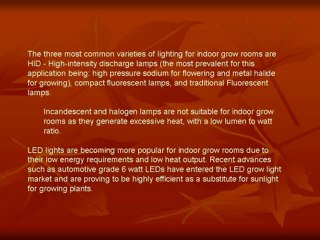 Indoor Grow Rooms - The Ultimate Growing Experience